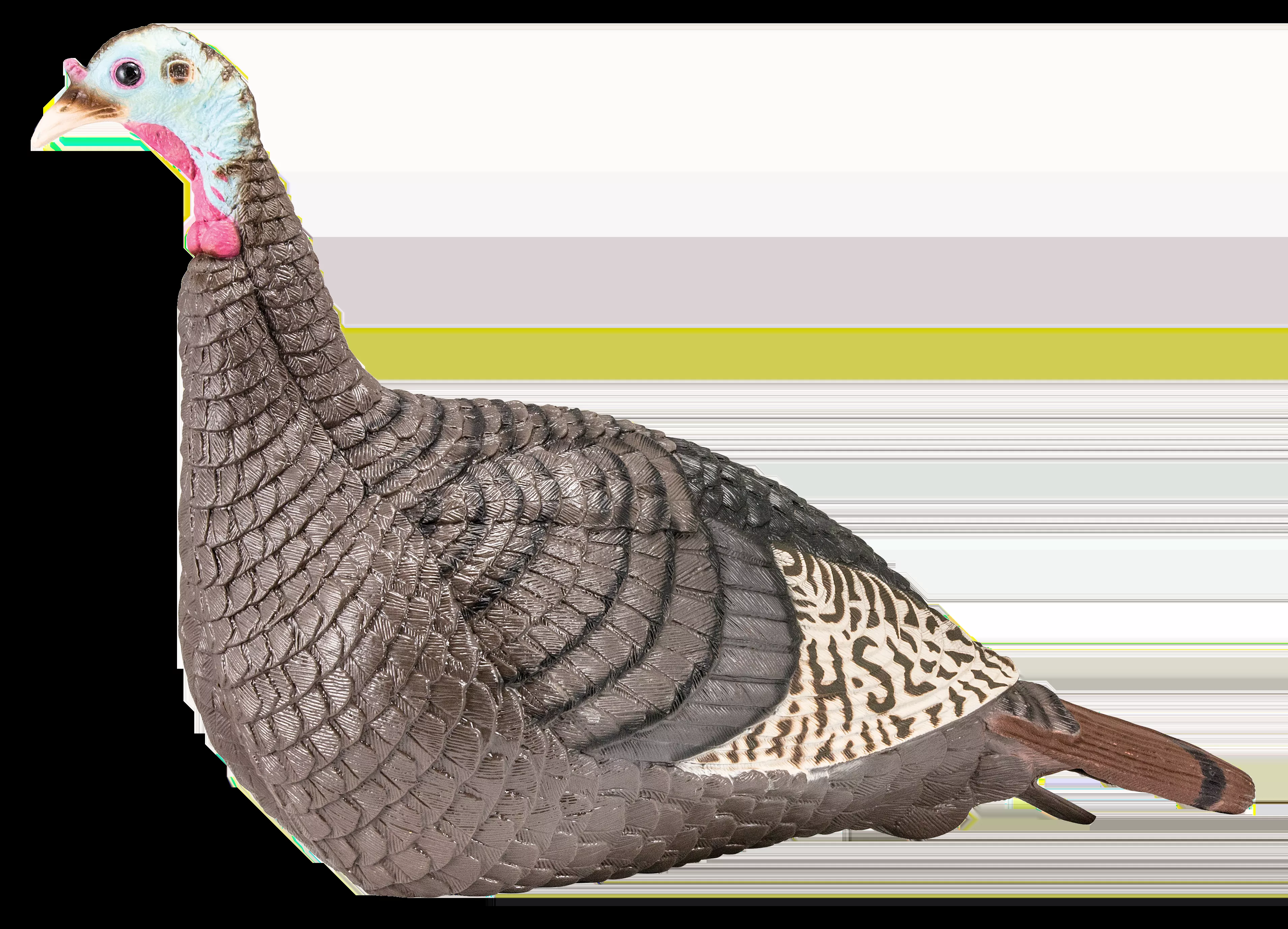 HS Strut Strut-Lite Hen Wild Turkey Species Multi Color Synthetic