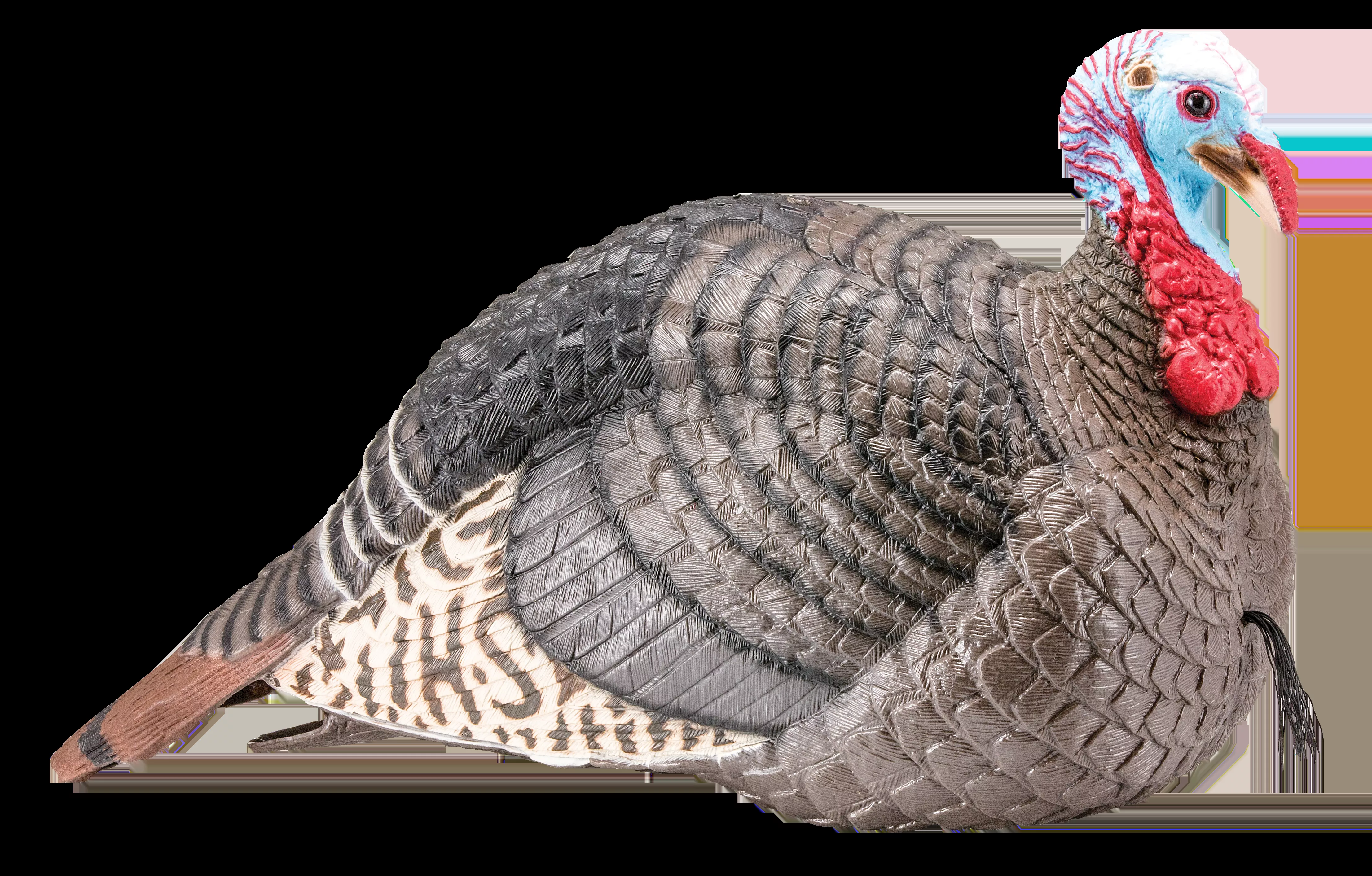 HS Strut Strut-Lite Jake Wild Turkey Species Multi Color Synthetic