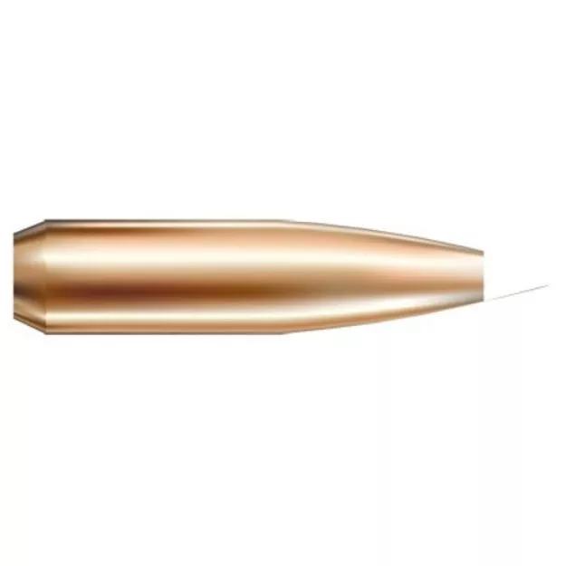 Nosler Bullets 6Mm .243 90Gr Accubond 50Ct